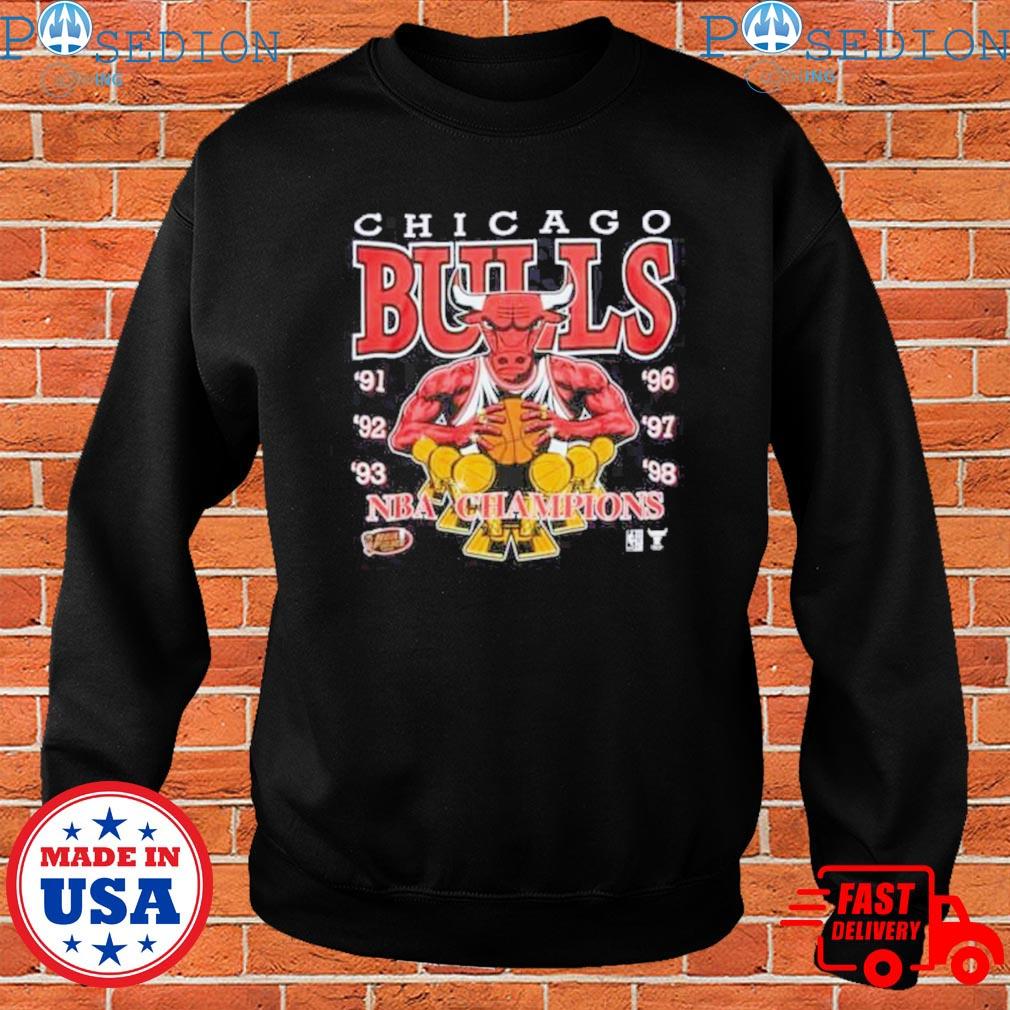 Chicago Bulls Champions Vintage Style T-Shirt, S