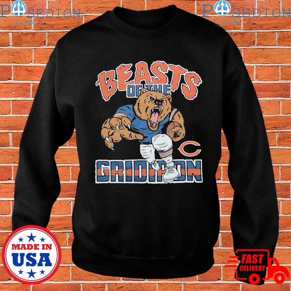 In The Most Wonderful Time Of The Year Chicago Bears T-shirt,Sweater,  Hoodie, And Long Sleeved, Ladies, Tank Top